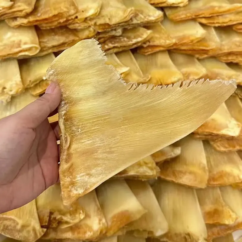 干货鱼翅如何泡发（详细步骤与去沙煨制）