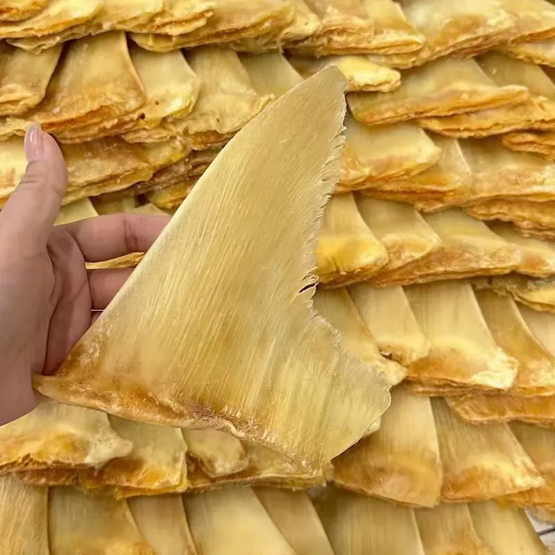 牙拣翅是什么？翅针特点和适合的做法